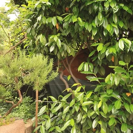 By The Sea - Volosko, - 7845 奥帕提亚